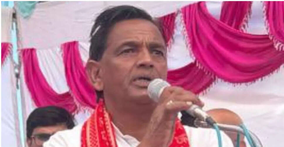 दौसा विधायक डीडी बैरवा का महिला पटवारी से विवाद का ऑडियो वायरल, सरकारी जमीन को लेकर हुई तीखी बहस