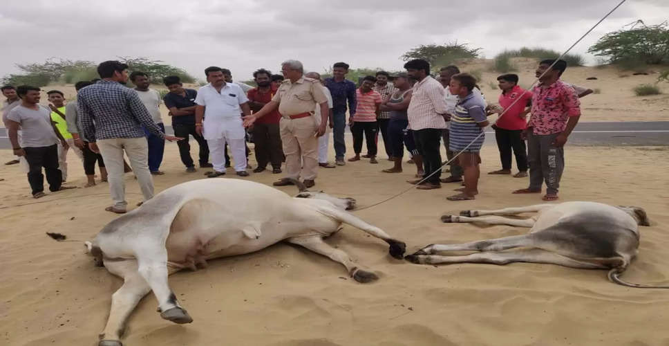 Jodhpur तार टूटने के बाद करंट से पशुओं की मौत पर डिस्कॉम देगा मुआवजा