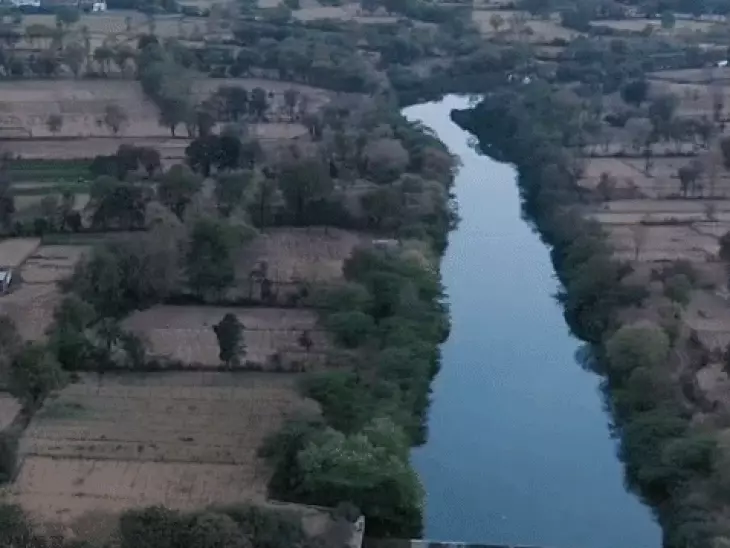 मृत पशुओं को नदी में फेंकने पर रोक: लोक अदालत ने वल्लभनगर पालिका को लगाई फटकार, निर्धारित स्थान पर निस्तारण के निर्देश