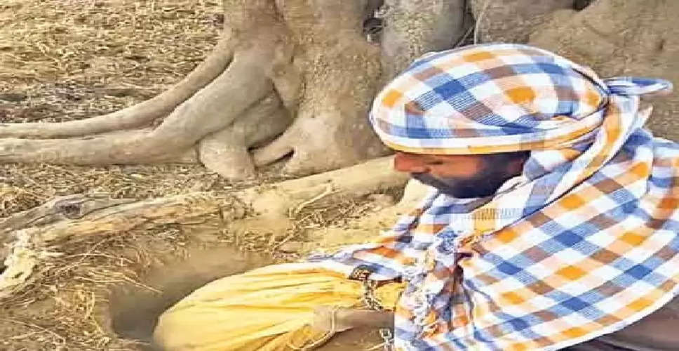 Jaisalmer पाकिस्तान से हेरोइन तस्करी मामले में 50 हजार के इनामी तस्कर को पुलिस ने को दबोचा