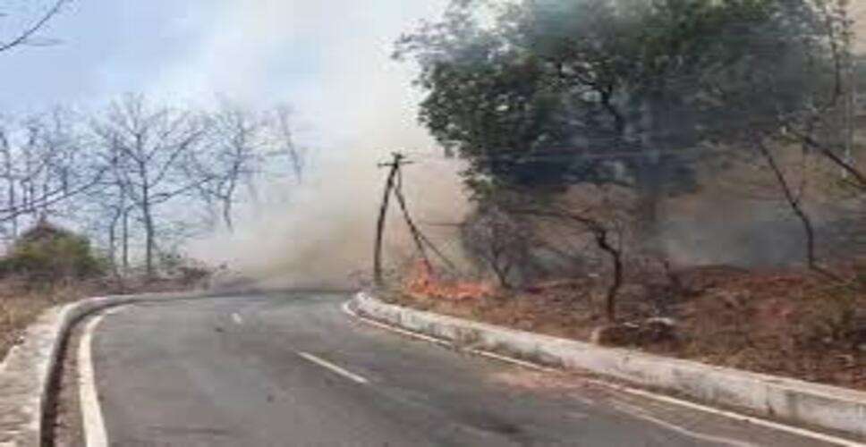 कोतवाली क्षेत्र में वन भूमि पर भीषण आग: सर्किट हाउस के पीछे जंगल में भड़की लपटें, तेज हवाओं से बढ़ा खतरा