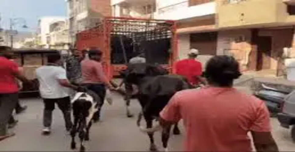 जयपुर निगम कमिश्नर का अवैध डेरियों पर बड़ा खुलासा, वायरल वीडियो में देखे बड़ी खबर&nbsp;