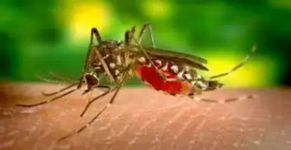 Dungarpur मौसमी बीमारियों और मलेरिया की रोकथाम के लिए अब 'मलेरिया क्रश' कार्यक्रम