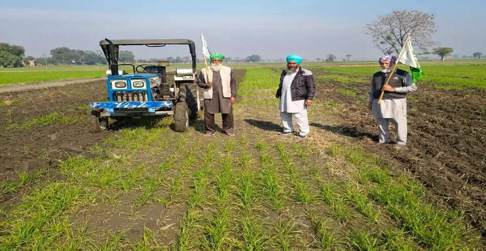 Alwar&nbsp;सब्र का बांध टूटा, किसानों ने खुद ही फसलों पर चलाया ट्रैक्टर