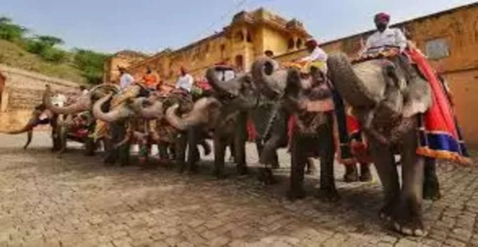 Jaipur में हाथी की सवारी हुई महंगी, चुकाने होंगे इतने रुपये, जानें कीमत 