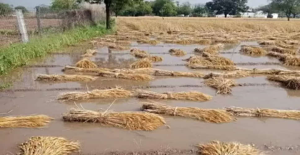 Weather Update राजस्थान में ओलावृष्टि ने किसानों की महेनत पर फेरा पानी, फसलें बर्बाद, कोटा की थर्मल यूनिट फेल, बारिश का अलर्ट