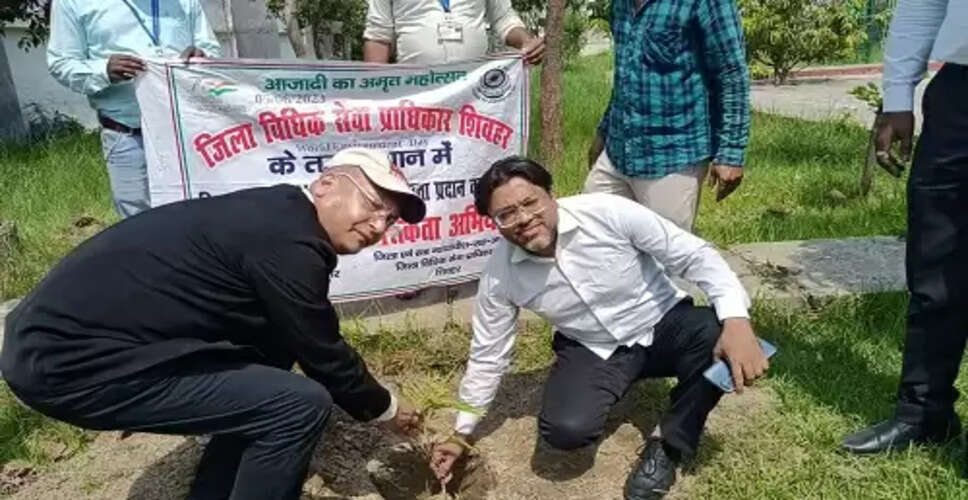 Nagaur मकराना में विश्व पर्यावरण दिवस पर न्यायालय परिसर में किया गया पौधरोपण