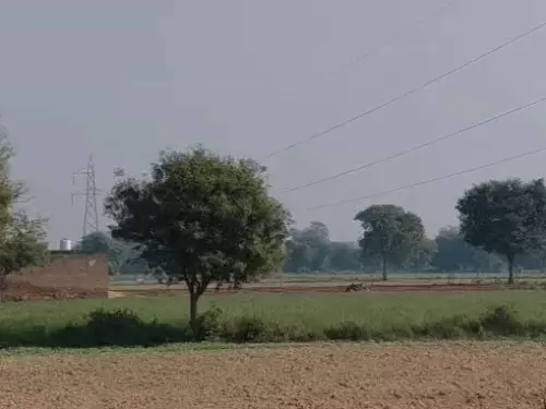 अलवर में रबी फसलों की बुवाई की तैयारी तेज, खेतों की नमी पर किसानों की नजर; 37 डिग्री के पार जा सकता है तापमान