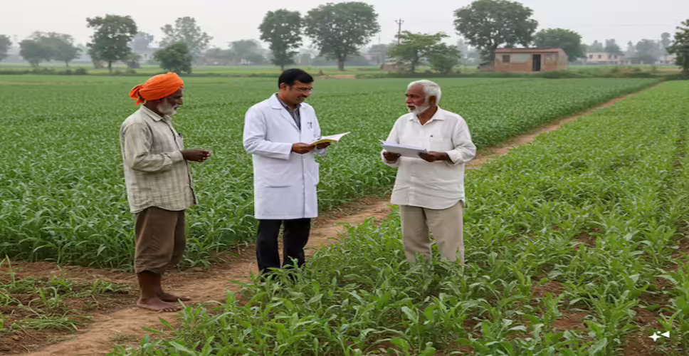 राजस्थान के इस जिले में&nbsp;कृषि संकल्प अभियान का शुभारंभ, जैविक खेती और मिट्टी जांच पर दिया जायेगा जोर&nbsp;