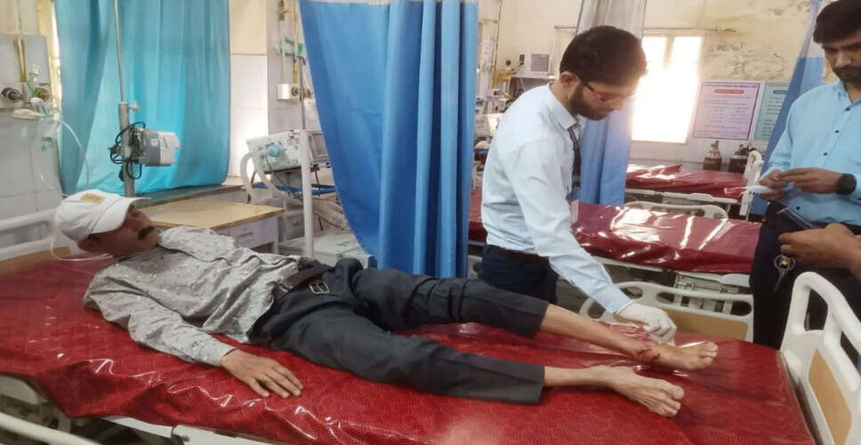 सिरोही में आवारा कुत्तों का आतंक, 20 दिनों में 60 से अधिक लोग घायल, हालात बिगड़े