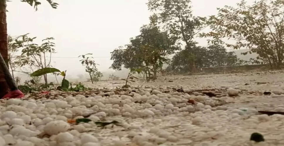 Rajasthan Weather Update : राजस्थान में मावट से कई जिलों में छाया, इन जिलों में ओलावृष्टि से हुआ नुकसान