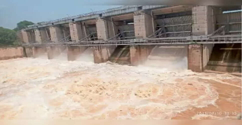 Karoli&nbsp;पांचना बांध के 3 साल बाद खोले गए 6 गेट