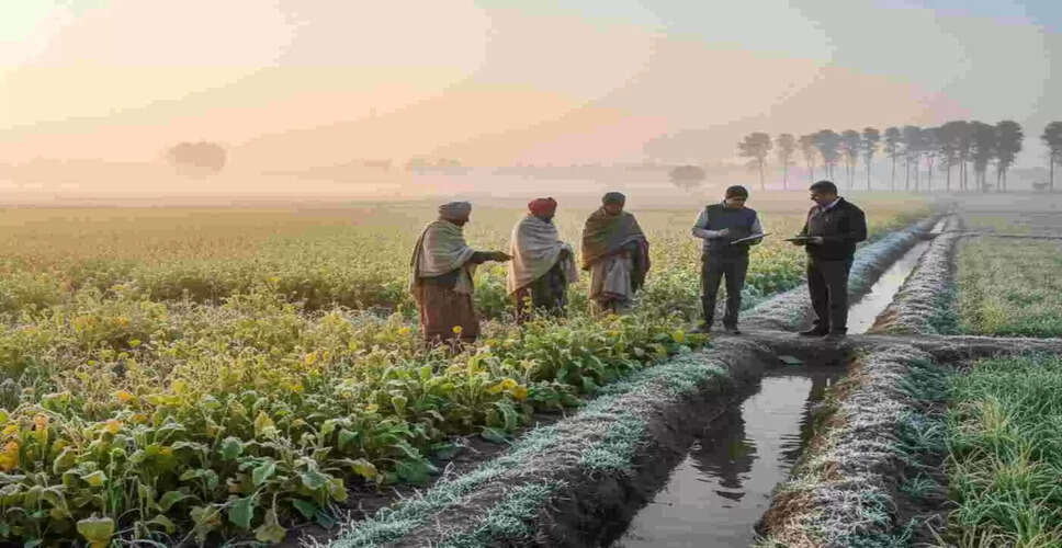 भीलवाड़ा में कड़ाके की ठंड और शीत लहर का असर, फसलों को पाले से बचाने कृषि विभाग ने जारी की एडवाइजरी