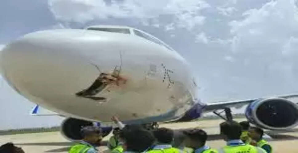 कोलकाता जा रहा IndiGo विमान नागपुर लौटाया गया, पक्षी से टकराने की आशंका के बाद आपात निर्णय