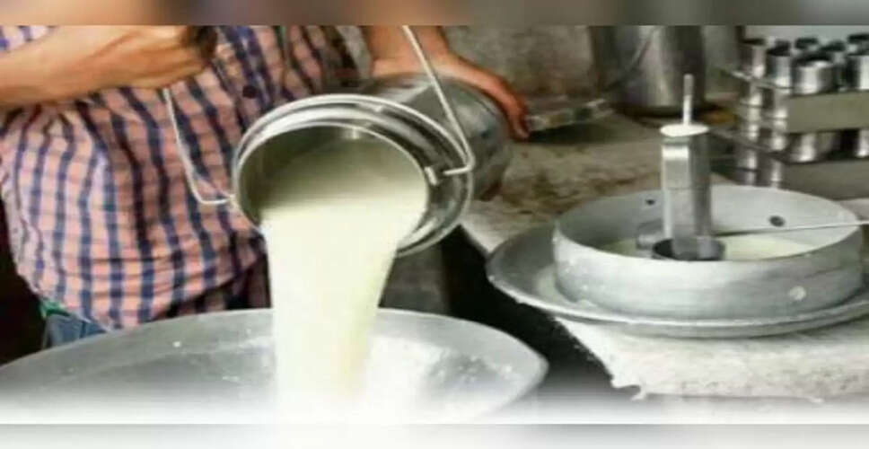 Karoli&nbsp;साढ़े चार माह बाद शुरू हुई डेयरी,&nbsp; दूध संग्रहण शुरू