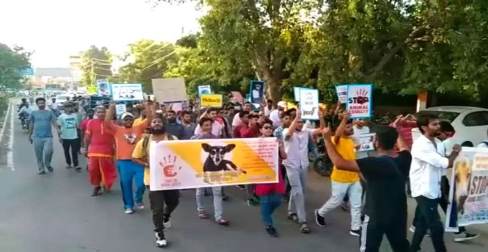 जोधपुर में सीआई के साथ मारपीट का मामला, जमानत पर छूटे 11 युवक गिरफ्तार, एनिमल लवर्स के प्रदर्शन में हुआ था विरोध