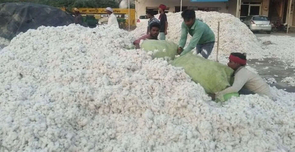 कपास किसानों के लिए बड़ी राहत, राजस्थान में भावांतर भुगतान योजना लागू करने की तैयारी