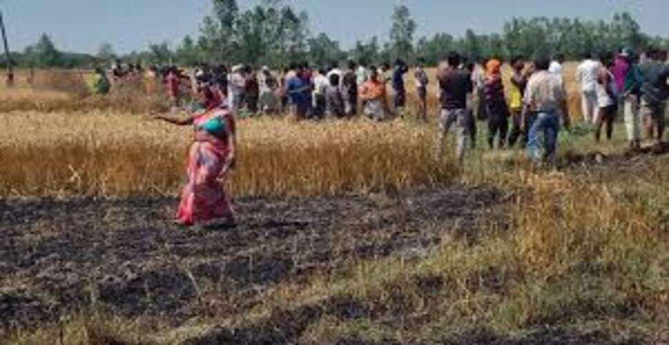 श्रीगंगानगर में खेत में भीषण आग, 8 बीघा गेहूं की फसल जलकर राख