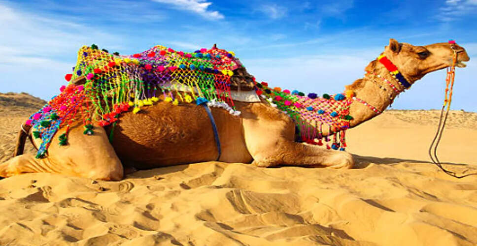 Bikaner ऊंट उत्सव में होगा नवाचार, जूनागढ़ में आयोजित होंगीे कल्चरल नाइट