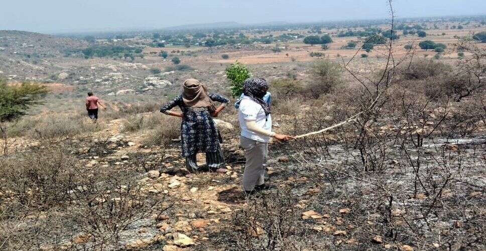 आगर्री गांव की पहाड़ी में लगी आग, ग्रामीणों और अग्निशमन दल ने टहनियों से पाया काबू