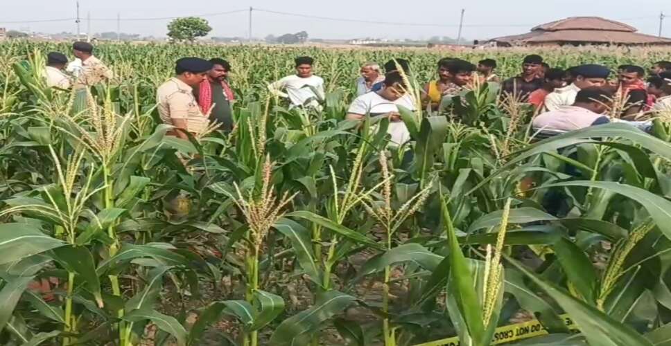 पाली में किसान की हत्या, खेत में मिला शव; सिर पर हमले के मिले निशान