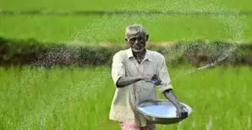 बांसवाड़ा के सज्जनगढ़ क्षेत्र के किसानों को यूरिया संकट का सामना, खुले बाजार में बढ़ी कीमतें