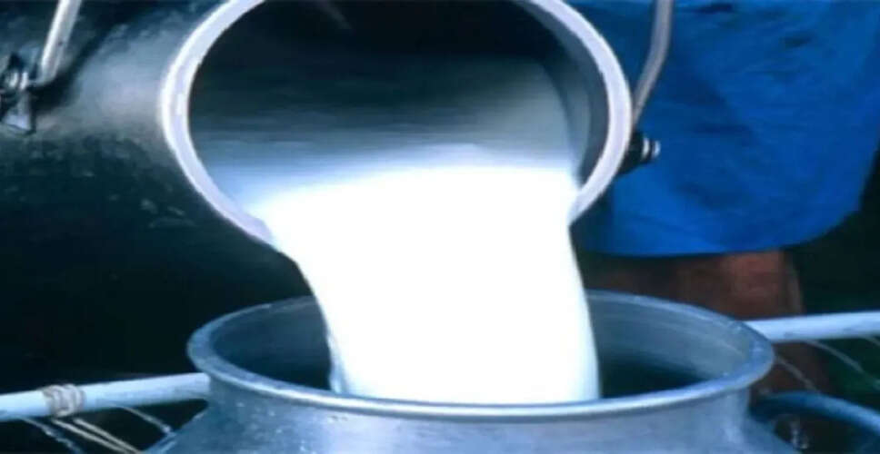 दूध उत्पादकों के लिए खुशखबरी! जयपुर डेयरी ने प्रति किलो फैट रेट 825 रुपये किया, जल्द दूध की कीमत में इजाफा संभव