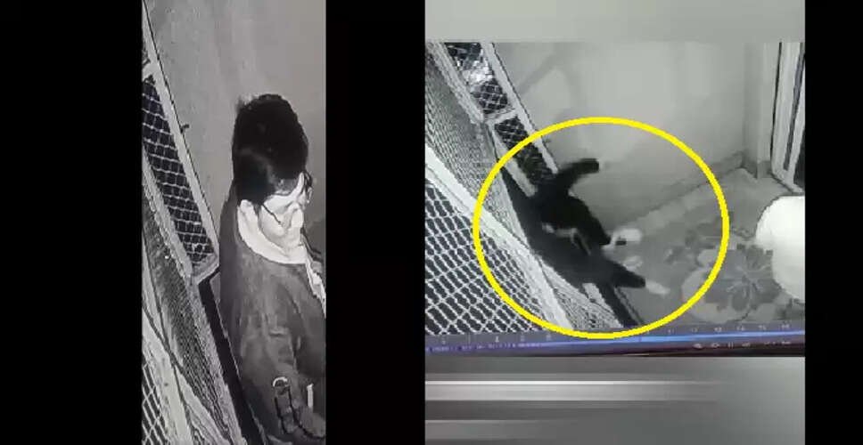 Rajasthan Breaking News: कोटा में छठी मंजिल से गिरे छात्र की दर्दनाक मौत, सामने आया मौत का लाइव वीडियों