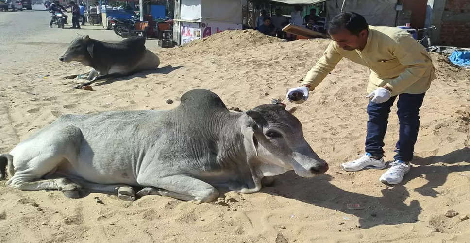 Jaipur मदर्स डे पर गाय और माता-पिता की सेवा का लिया गया संकल्प