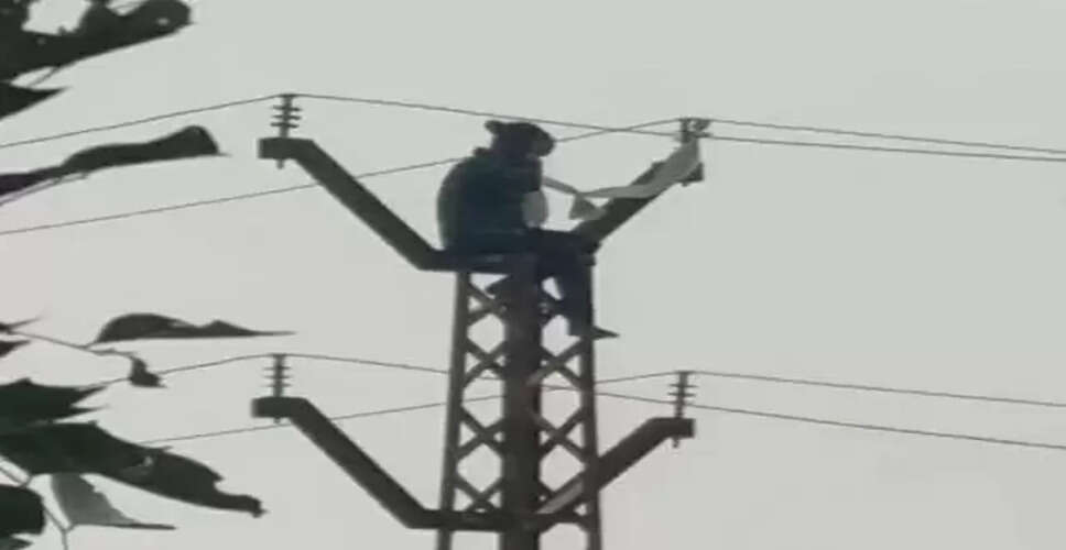 सवाई माधोपुर: दो बहनें बिजली के पोल पर चढ़ीं, 30 मिनट बाद समझाइश पर उतरीं