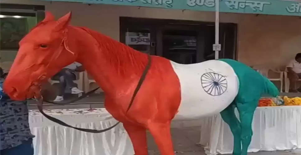 Ajmer में युवक ने तिरंगे के रंग में रंगा घोड़ा, पशु कल्याण बोर्ड ने दर्ज कराया मामला