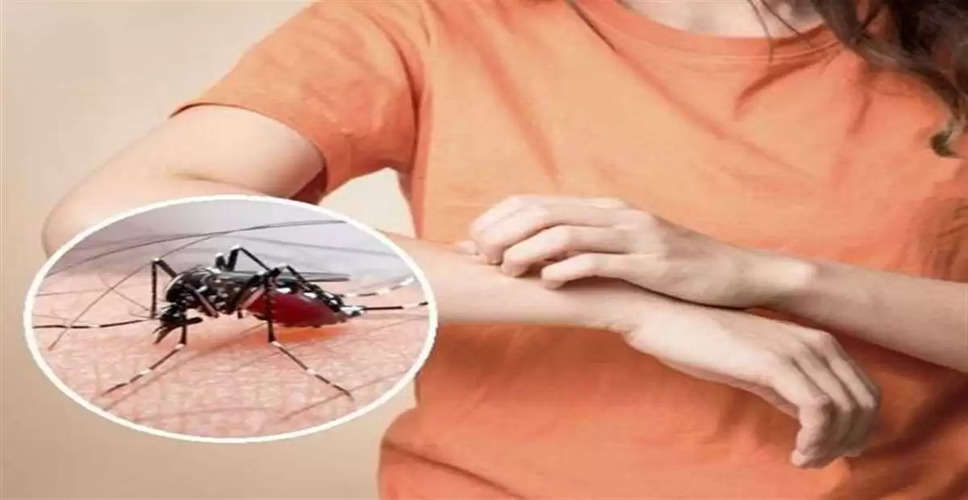 Ajmer डेंगू के मच्छर कर रहे हैं लोगों पर हमला, फॉगिंग में हो रही  ढिलाई