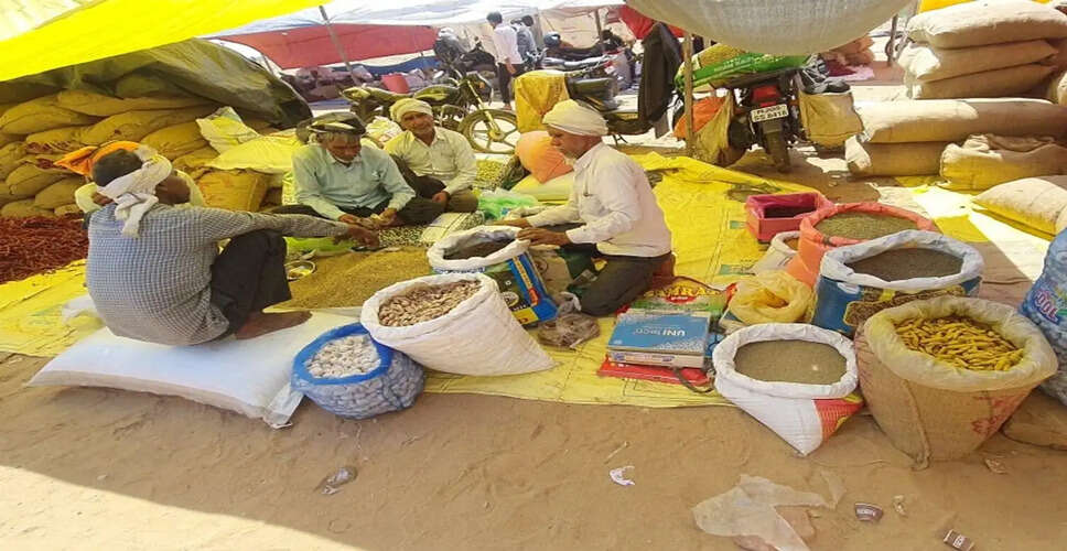 राजस्थान के Karauli में शुरू हुआ&nbsp;ऐतिहासिक फाल्गुन मेला, उत्सव में 100&nbsp; साल से चली आ रही ये परंपरा&nbsp;