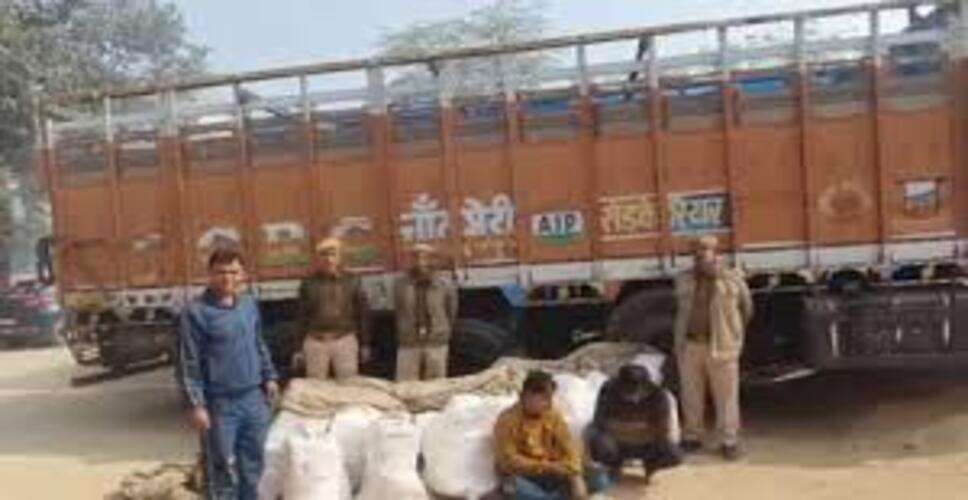 नशे के खिलाफ बड़ी कार्रवाई, 15 किलो गांजा और नकदी जब्त