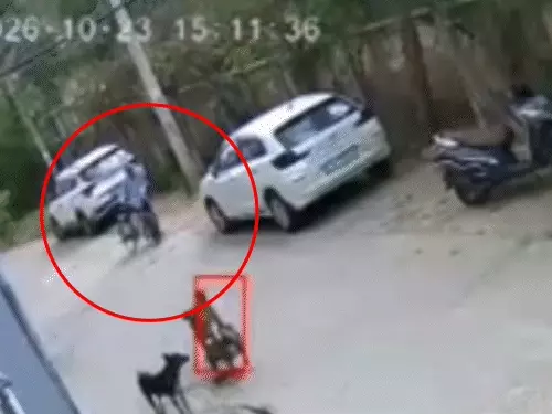 अलवर में साइकिल चला रहे रिटायर्ड कर्मचारी की हार्ट अटैक से मौत, पहले कार की टक्कर समझते रहे लोग; CCTV से खुला मामला