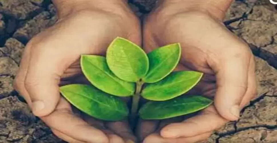 Karoli&nbsp;5 हेक्टेयर क्षेत्र में रोपे गए 1800 पौधे दिया पर्यावरण संरक्षण का संदेश