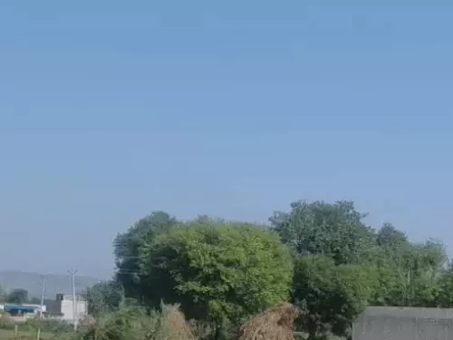 अलवर में दिन में गर्मी, सुबह-शाम हल्की ठंड का अहसास, 25 अक्टूबर को 37 डिग्री तक पहुंच सकता है पारा