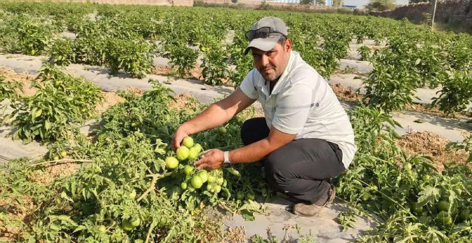 Alwar जैविक खेती से मौसमी, संतरा और मेथी से किसानों की हो रही कमाई