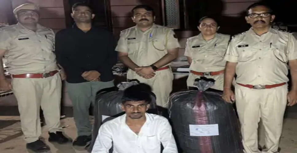 जोधपुर में बाजरे की फसल के बीच छिपाकर रखा था 42.7 किलो डोडा-पोस्त, लूणी पुलिस की बड़ी कार्रवाई