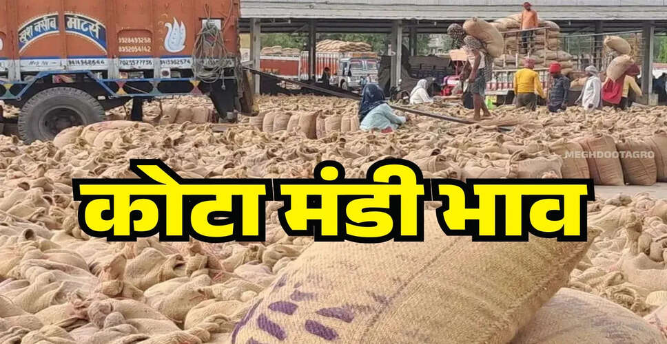 कोटा मंडी में मंदे पड़े सोयाबीन-सरसों और लहसुन के दाम, एक क्लिक में पढ़े क्या है आज के ताजा भाव&nbsp;