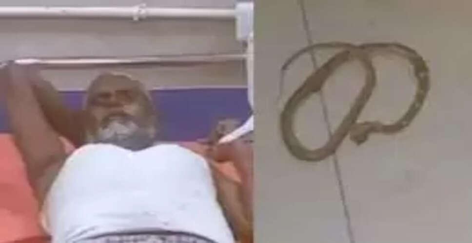 Karoli&nbsp;मांची गांव में सर्पदंश की घटनाओं से ग्रामीण भयभीत, मचा हड़कंप