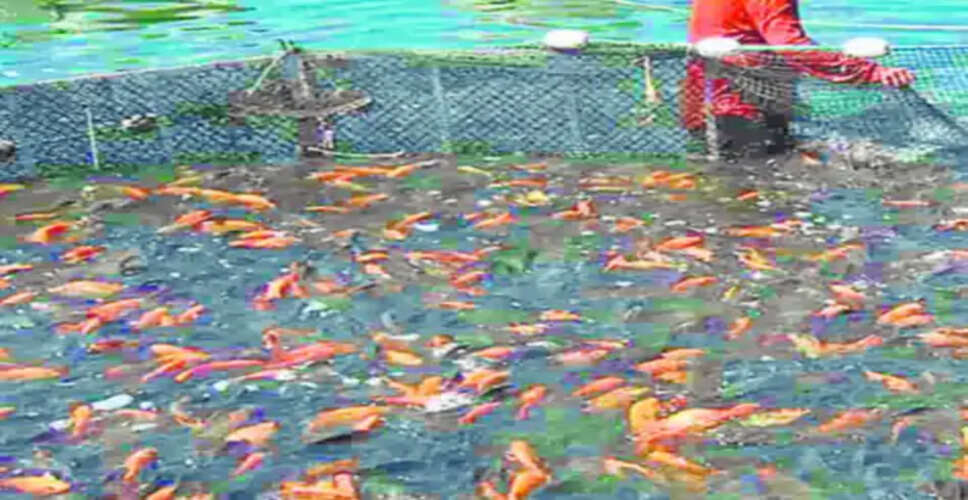 सीकर में मछलीपालन के नाम पर 3 करोड़ की ठगी, जयपुर निवासी आरोपी पर केस दर्ज