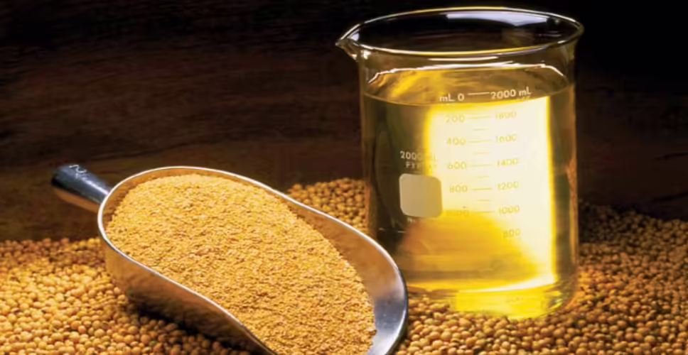 अमेरिका में भारतीय उत्पादों पर टैरिफ बढ़ने&nbsp;चावल, सोयाबीन और सरसों के भावों में आएगा उछाल, यहां जाने जनता पर क्या होगा असर ?