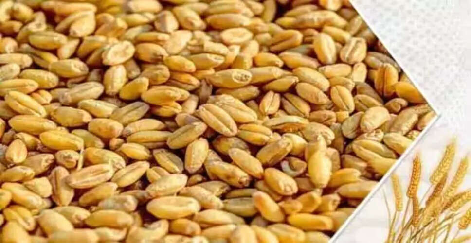 Bharatpur 10 केंद्रों पर होगी गेहूं की खरीद, 15 जून तक कराएं पंजीकरण