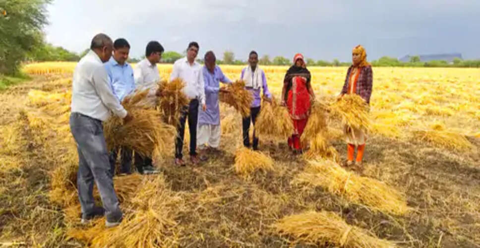 बेमौसम बारिश से फसलों का नुकसान, प्रशासन सतर्क; अधिकारियों ने किया निरीक्षण