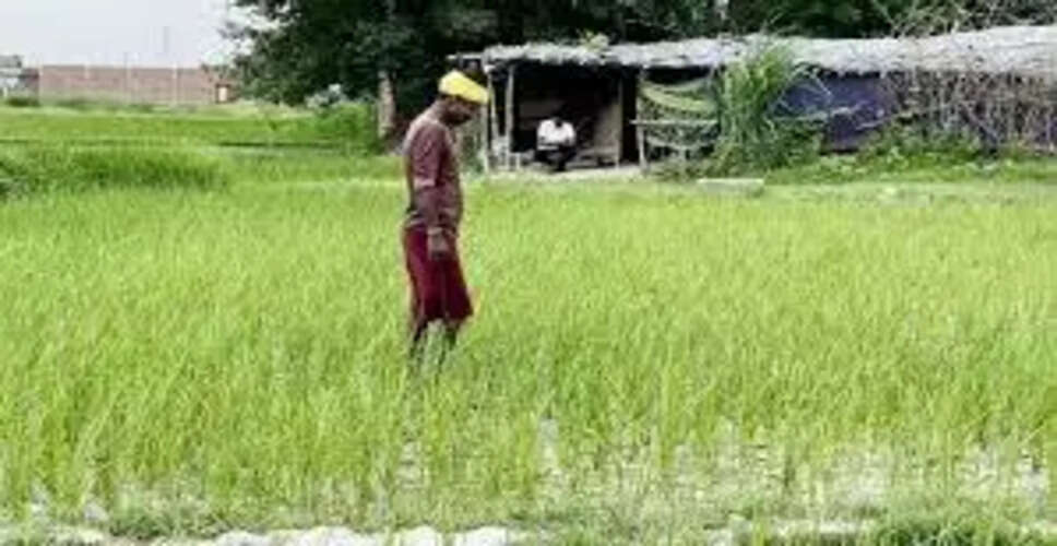 Karoli&nbsp;अब प्रदेश की हर ग्राम पंचायत में विकसित होंगी नर्सरियां, बढ़ेगी हरियाली