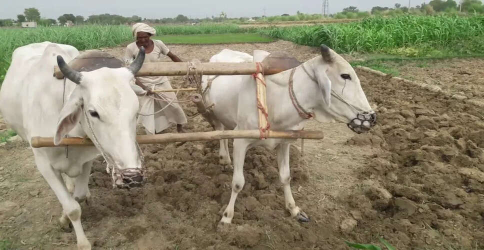 राजस्थान में किसानों के लिए खुशखबरी! इन किसानों को&nbsp;सालाना मिलेंगे 30 हजार रुपए, जानिए पूरी डिटेल&nbsp;