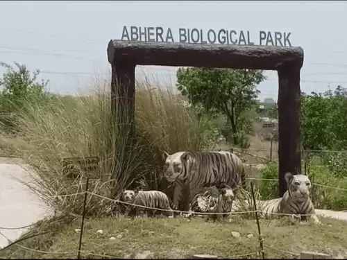 कोटा अभेड़ा बायोलॉजिकल पार्क में बैक्टीरिया संक्रमण का खतरा, एक चिंकारा की मौत