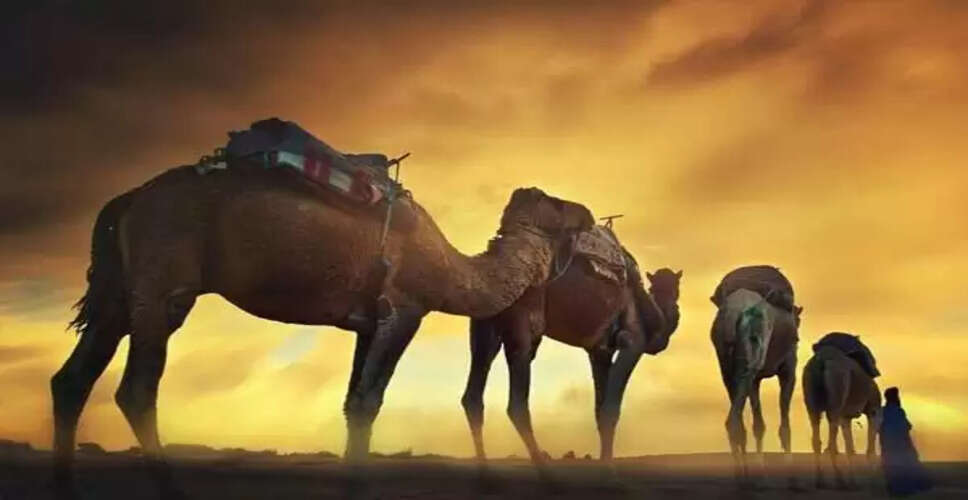 Rajasthan Weather Alert: अप्रैल माह में बीते कई सालों का टूटा गर्मी का रिकॉर्ड, राजस्थान के कई जिलों में भीषण गर्मी का मंजर देखें