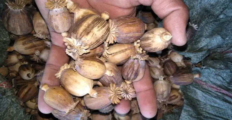 राजस्थान में नशा तस्करों पर शिकंजा, इस जिले में 18 किलो डोडा-पोस्त और 48 हजार कैश के साथ पकड़ा गया नौजवान&nbsp;